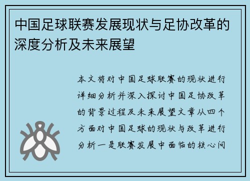 中国足球联赛发展现状与足协改革的深度分析及未来展望
